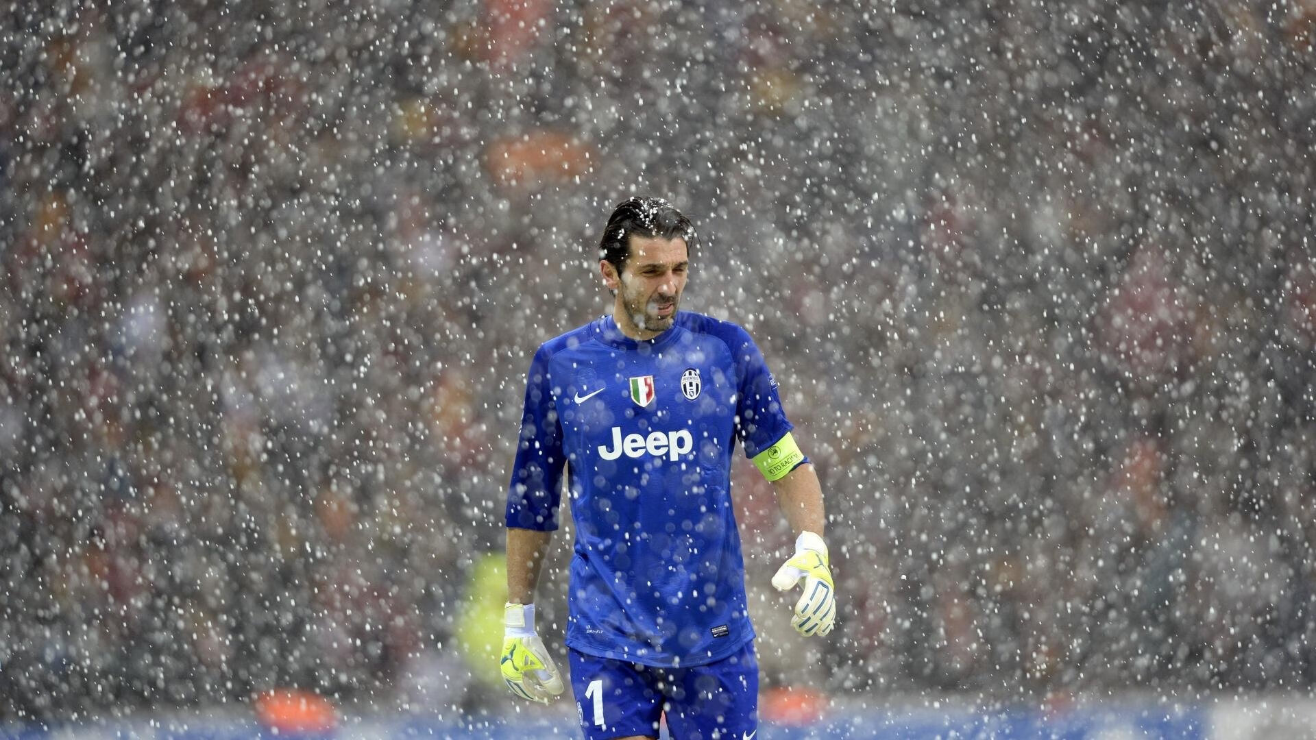 这一刻,全场陷入疯狂,这一刻,全场陷入疯狂